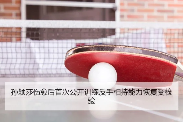 孙颖莎伤愈后首次公开训练反手相持能力恢复受检验